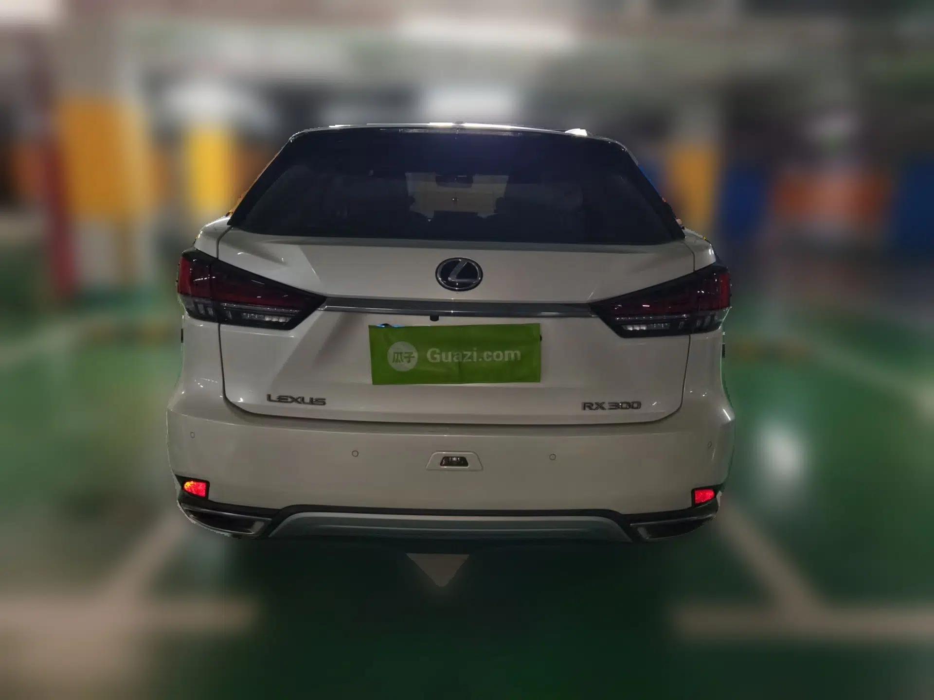 Lexus RX 2020 300 Two-Wheel Drive Elite Edition China VI Standard — миниатюра 5