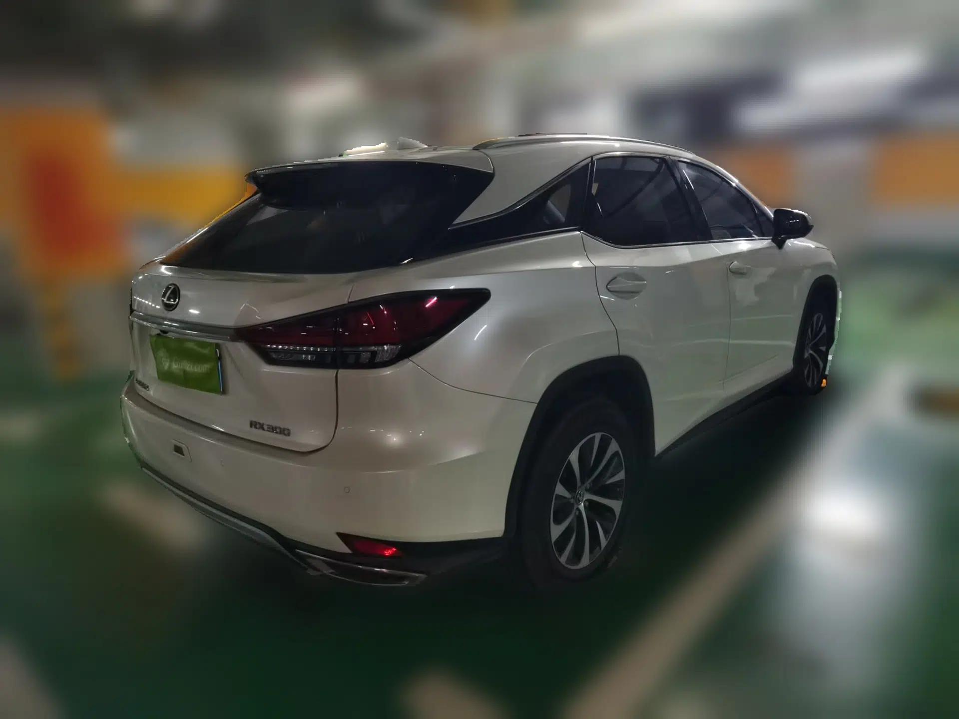 Lexus RX 2020 300 Two-Wheel Drive Elite Edition China VI Standard — миниатюра 6