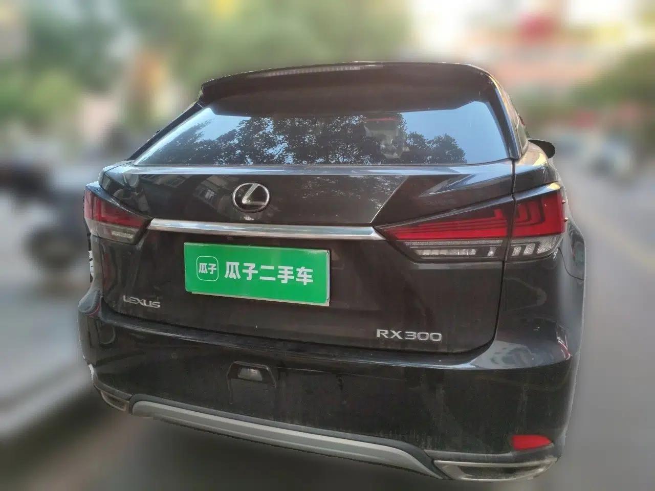 Lexus RX 2020 Revised Version 300 Two-Wheel Drive Elite Edition — миниатюра 5