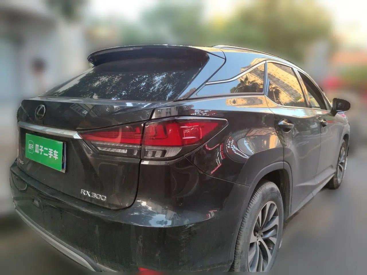 Lexus RX 2020 Revised Version 300 Two-Wheel Drive Elite Edition — миниатюра 6