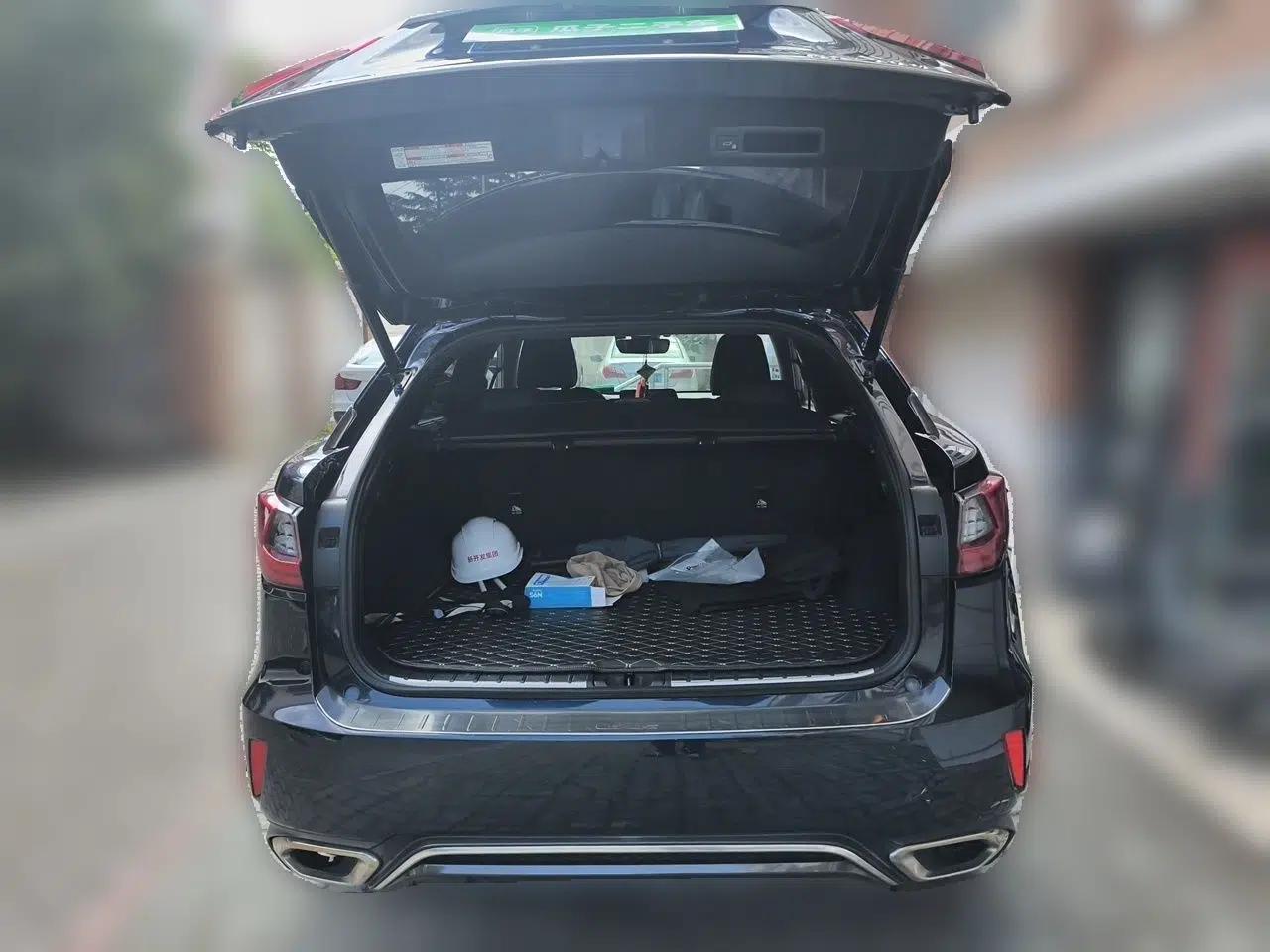 Lexus RX 2016 300 4x4 F SPORT Version China V Standard — миниатюра 20