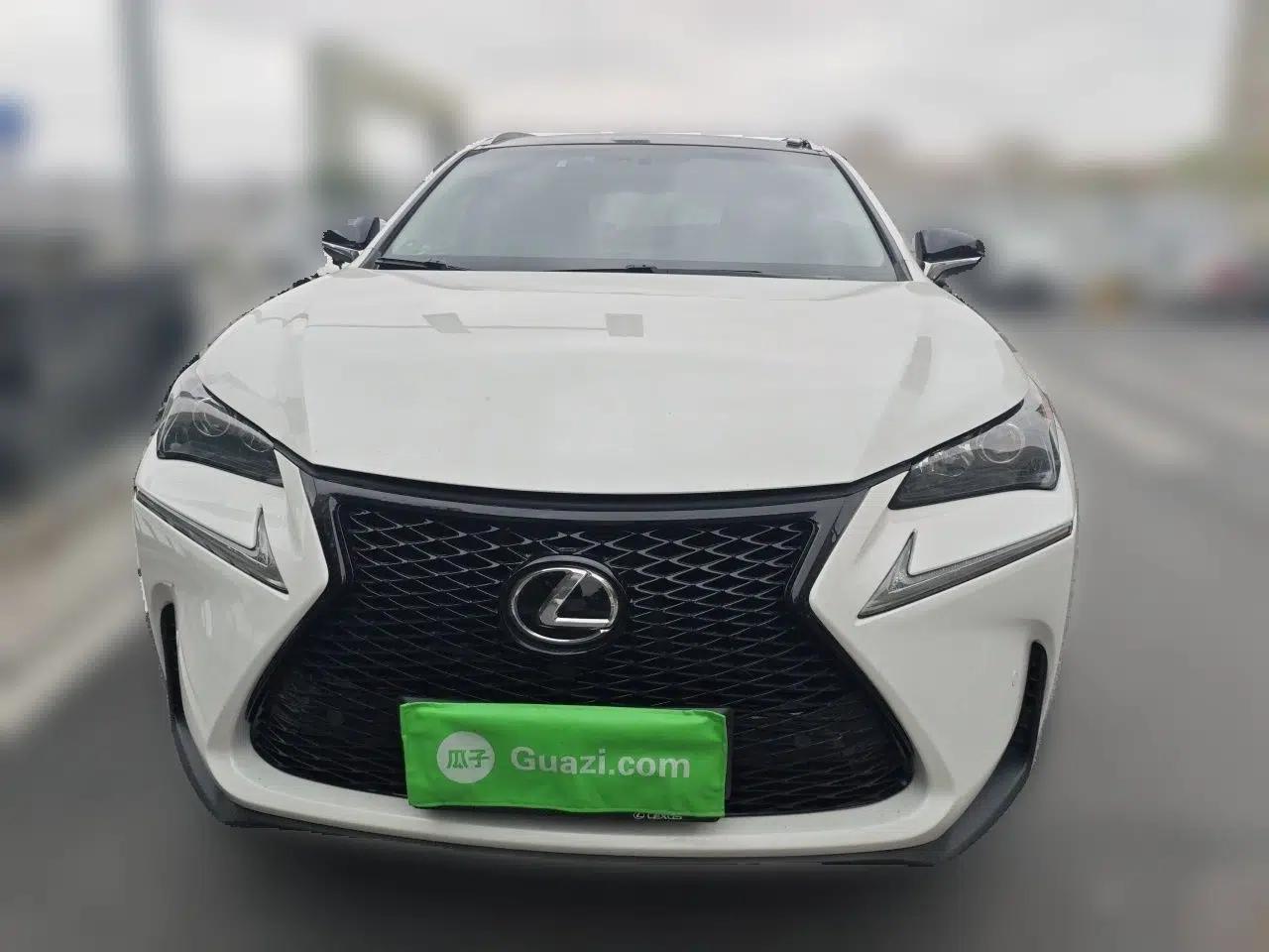Lexus NX 2016 200 All-Wheel Drive FENGSHANG Version — миниатюра 2