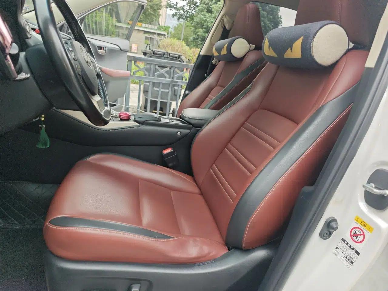 Lexus NX 2016 200 All-Wheel Drive FENGSHANG Version — миниатюра 16