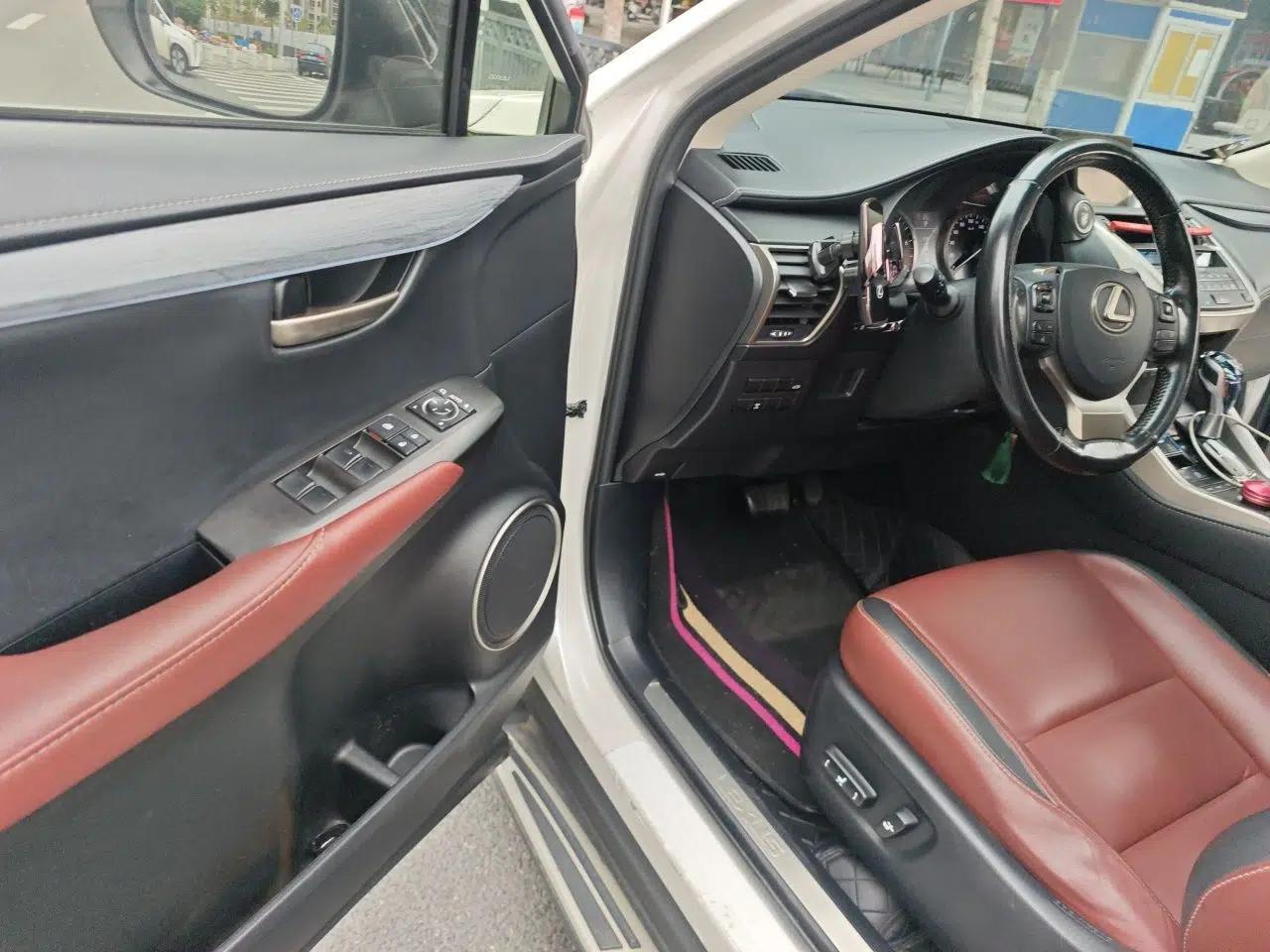 Lexus NX 2016 200 All-Wheel Drive FENGSHANG Version — миниатюра 17