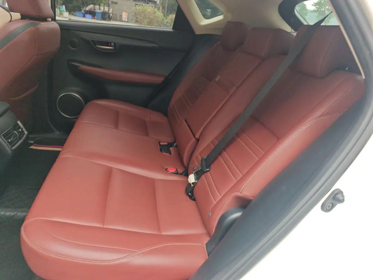 Lexus NX 2016 200 All-Wheel Drive FENGSHANG Version — миниатюра 18