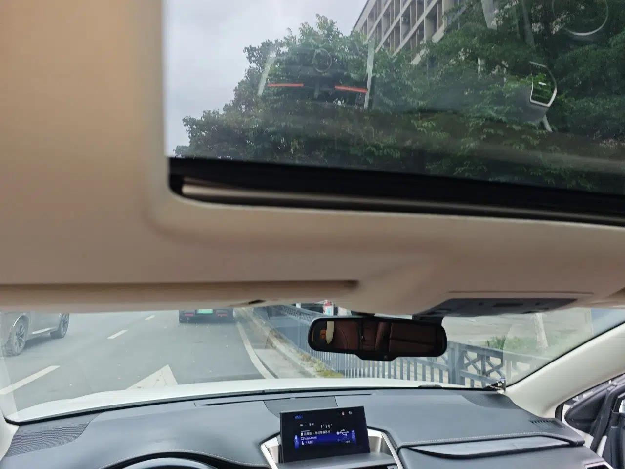 Lexus NX 2016 200 All-Wheel Drive FENGSHANG Version — миниатюра 19