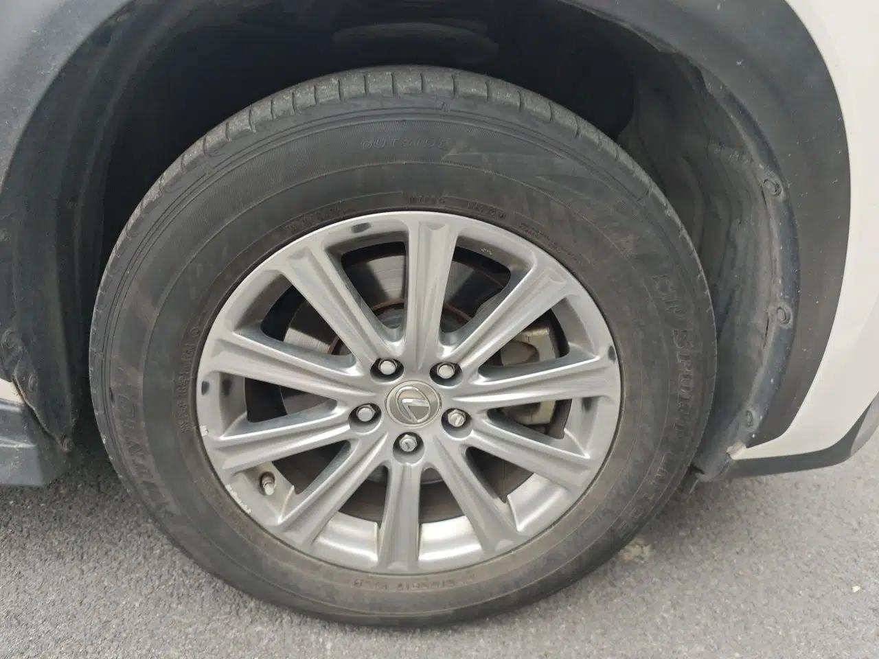 Lexus NX 2016 200 All-Wheel Drive FENGSHANG Version — миниатюра 8