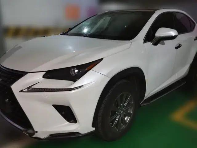 Lexus NX 2017 300 Front-Wheel-Drive Limited Edition