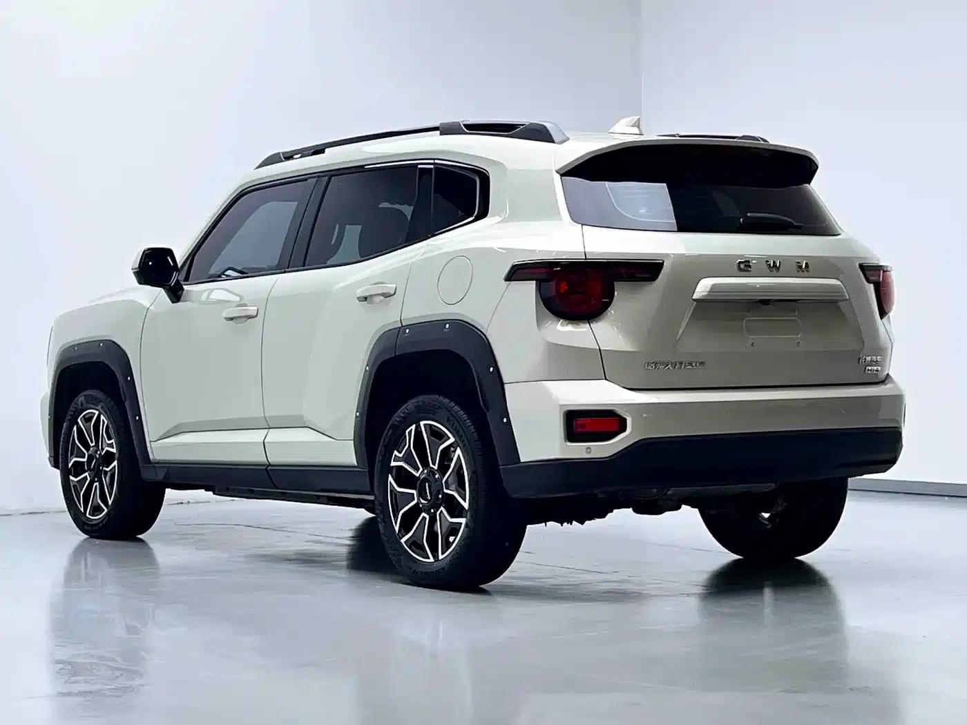 Haval Big Dog PLUS New Energy 2026 Hi4 150km Trendy Electric Edition — миниатюра 13