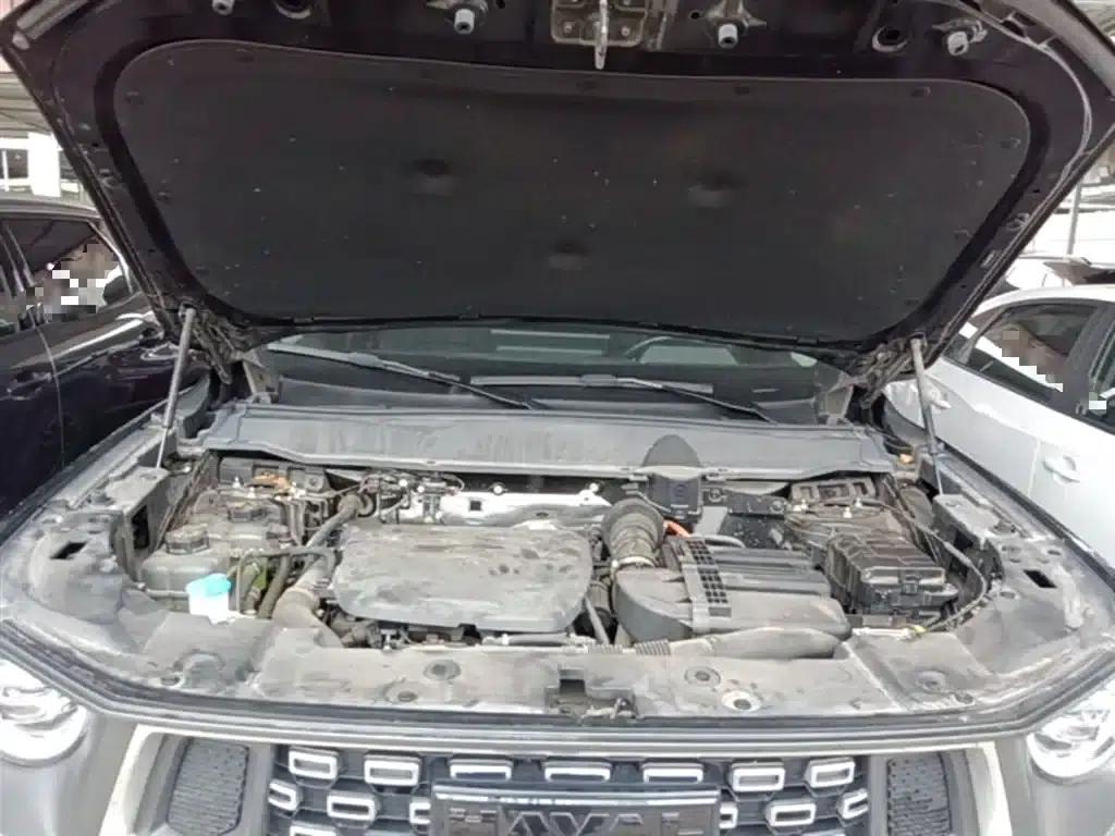 Haval Big Dog PLUS New Energy 2023 DHT-PHEV 105km Trendy Electric Edition Plus — миниатюра 20