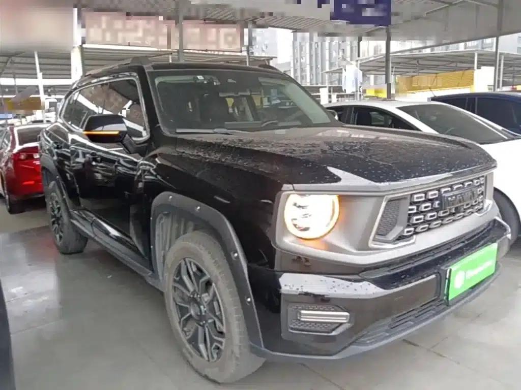 Haval Big Dog PLUS New Energy 2023 DHT-PHEV 105km Trendy Electric Edition Plus — миниатюра 4
