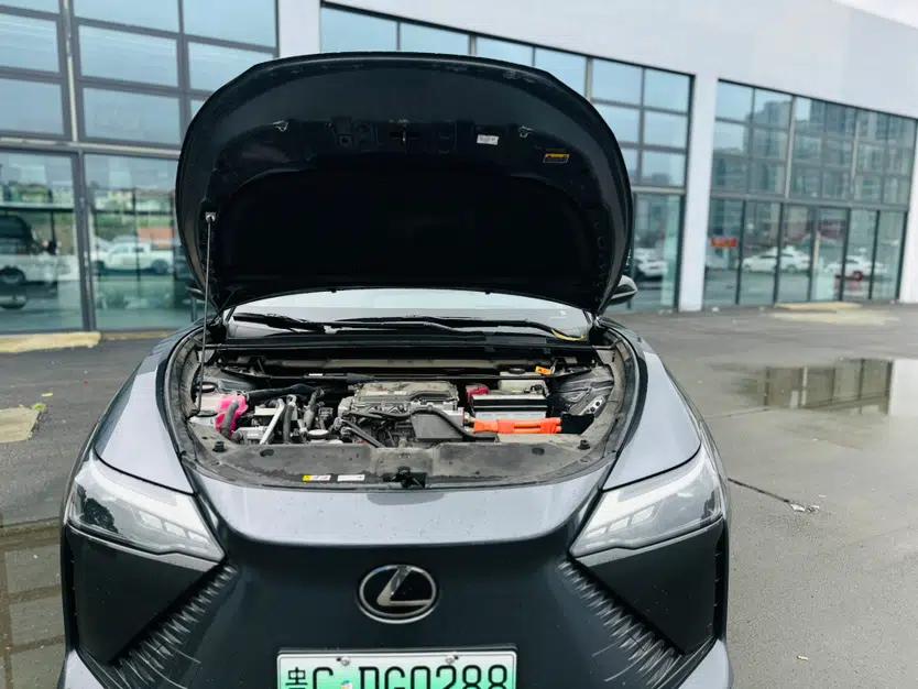 Lexus RZ 2023 450e All-Wheel Drive Luxury Edition — миниатюра 20