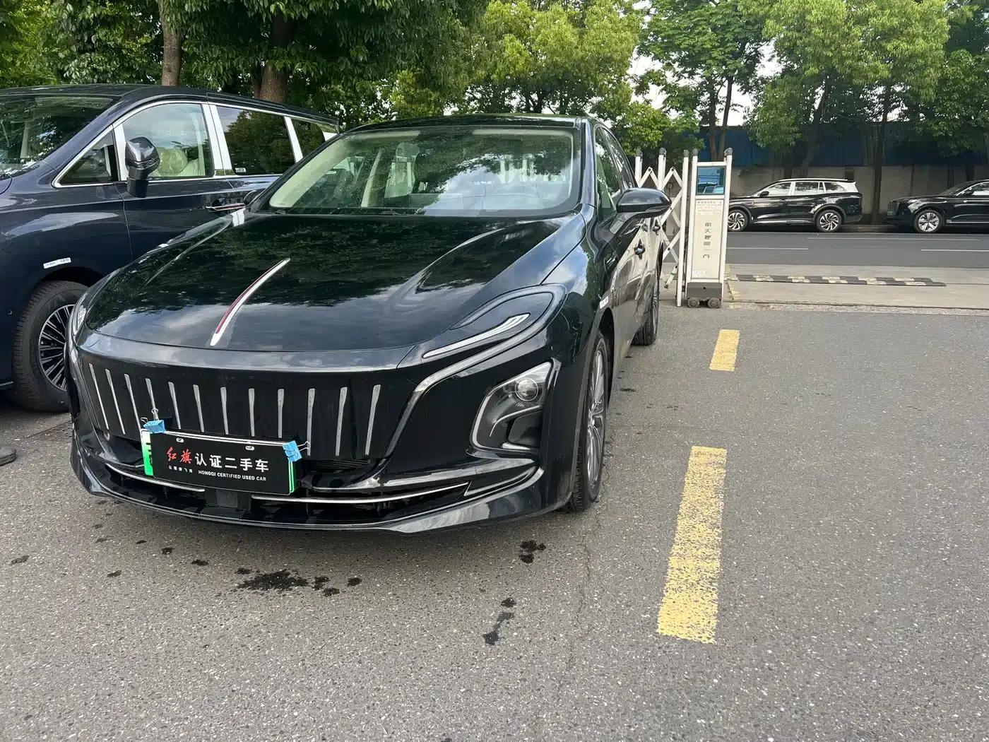 Hongqi E-QM5 2024 Model 450km Travel Edition — миниатюра 1