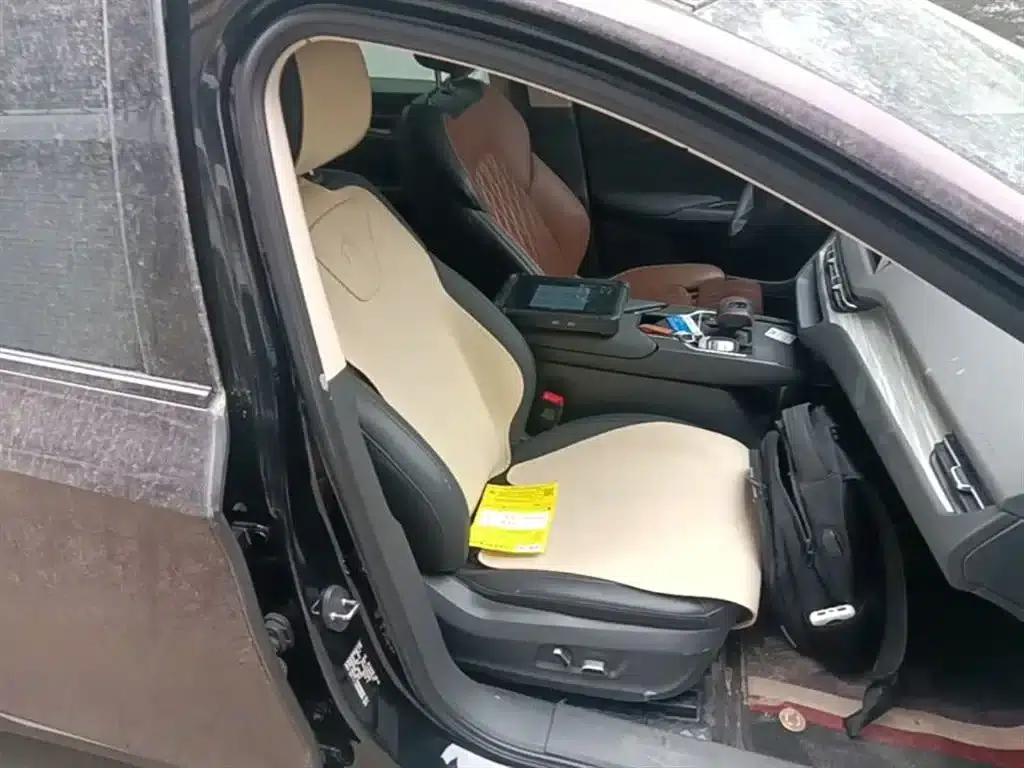 Hongqi E-QM5 2023 Model 620km PLUS — миниатюра 25