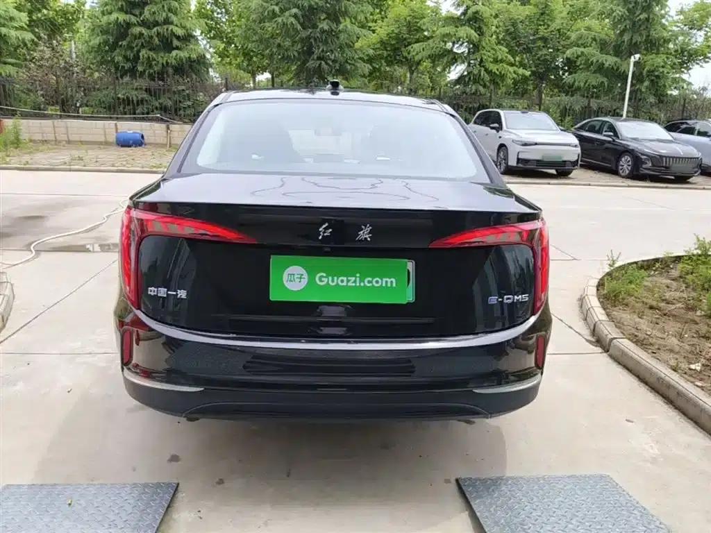 Hongqi E-QM5 2023 Facelift Basic Travel Edition — миниатюра 6