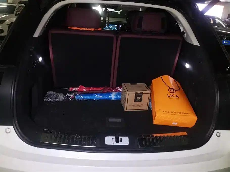Hongqi E-HS9 2022 Model 660km Flagship Edition (Six Seats) — миниатюра 4
