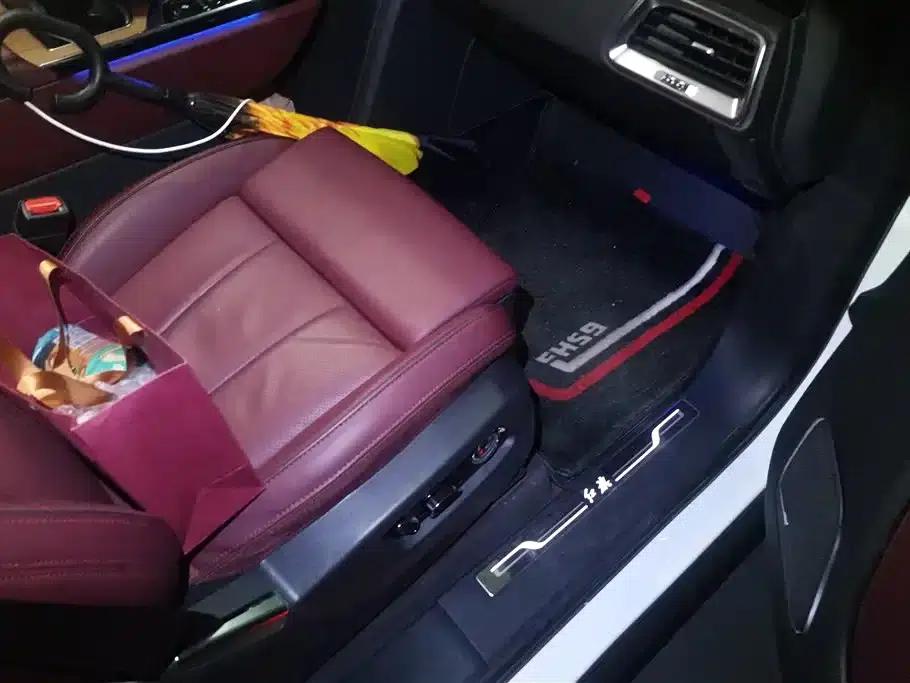 Hongqi E-HS9 2022 Model 660km Flagship Edition (Six Seats) — миниатюра 8
