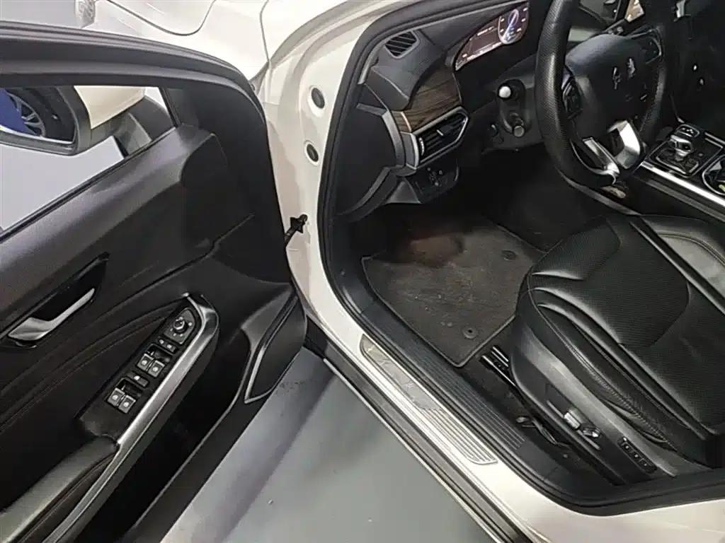 Hongqi E-HS3 2019 Intelligent Flagship Two-Wheel Drive Edition — миниатюра 16