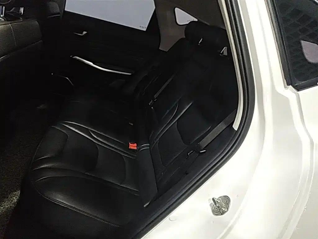 Hongqi E-HS3 2019 Intelligent Flagship Two-Wheel Drive Edition — миниатюра 17