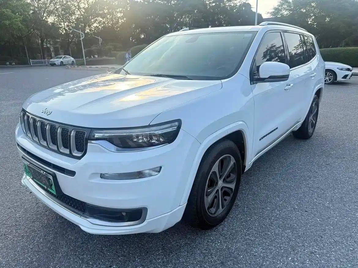 Commander PHEV 2020 2.0T Plug-in Hybrid Enjoy Edition — миниатюра 1