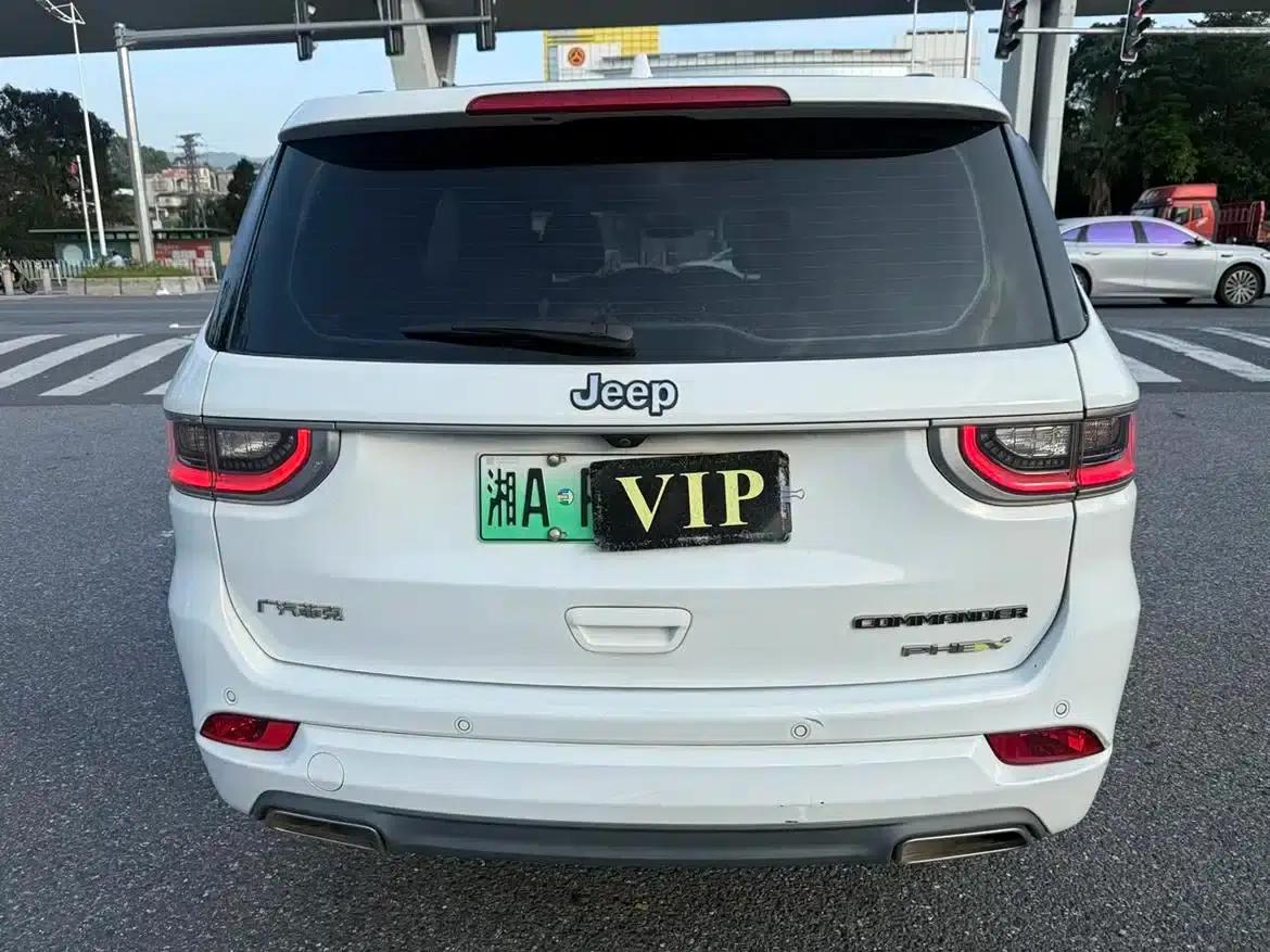 Commander PHEV 2020 2.0T Plug-in Hybrid Enjoy Edition — миниатюра 6