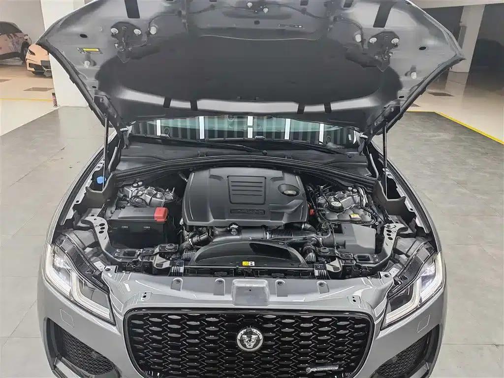 2024 Jaguar F-PACE P250 R-Dynamic SE — миниатюра 4