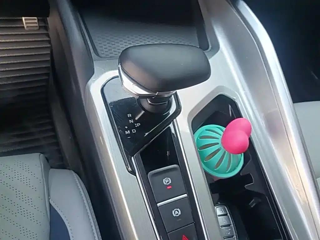 Xingrui 2021 Facelift 2.0TD Premium Edition — миниатюра 14