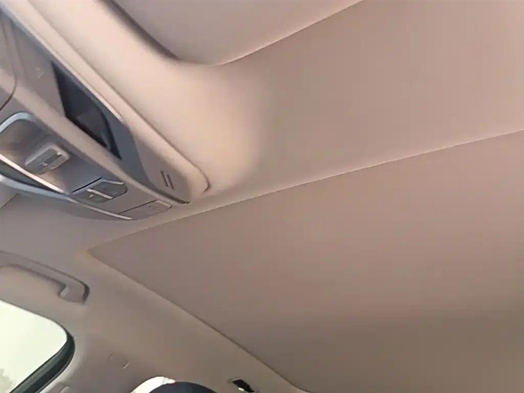 Xingrui 2021 Facelift 2.0TD Premium Edition — миниатюра 18