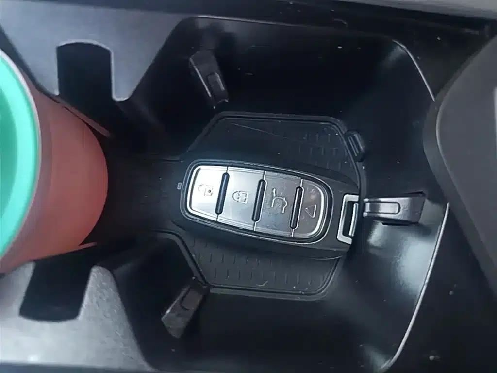 Xingrui 2021 Facelift 2.0TD Premium Edition — миниатюра 9