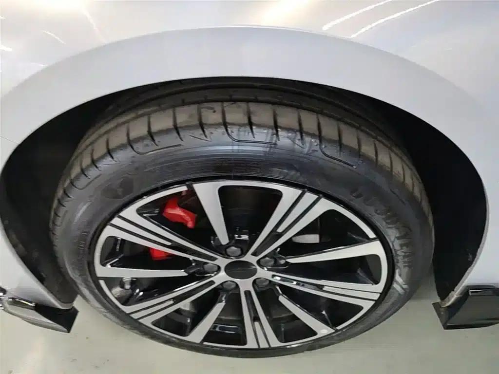 Xingrui 2025 Oriental Yao 2.0TD Lanxing Edition — миниатюра 23