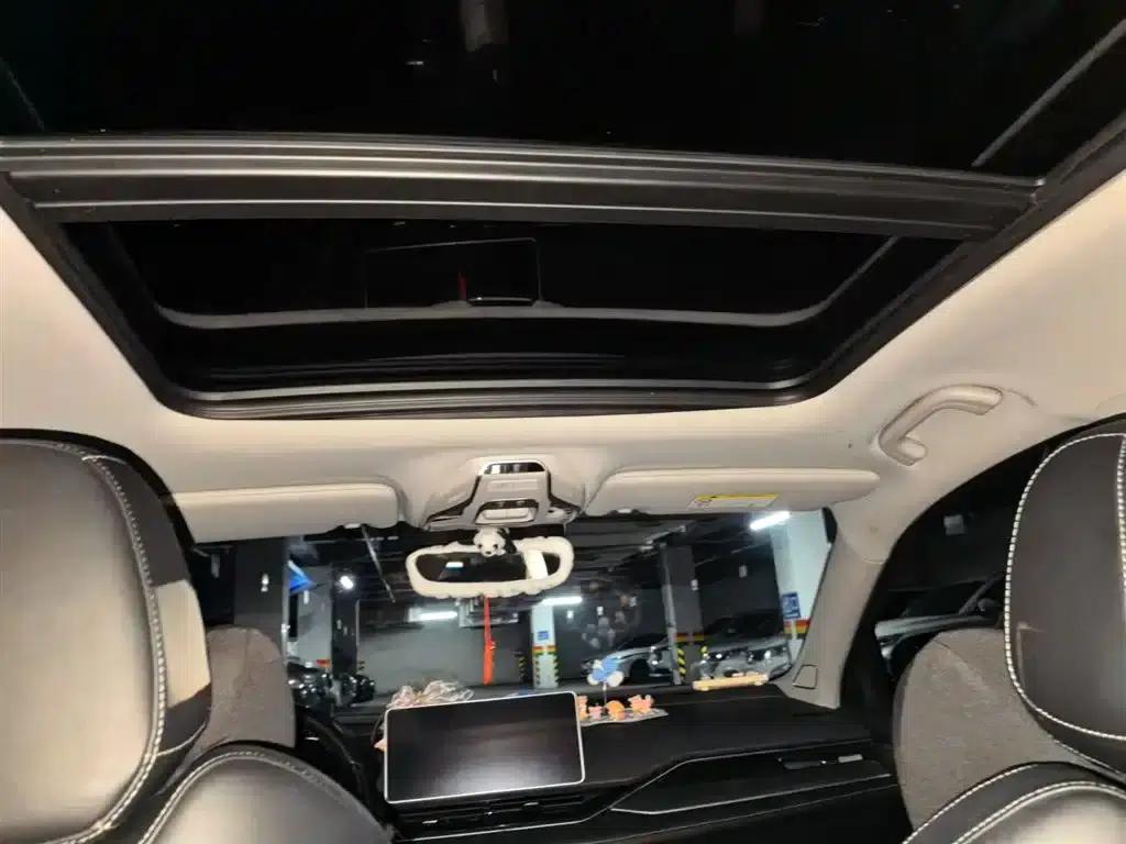 Xingrui 2023 2.0TD Luxury Edition — миниатюра 14