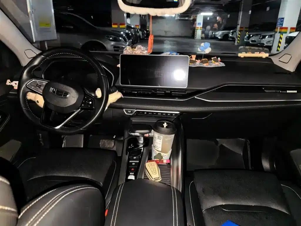 Xingrui 2023 2.0TD Luxury Edition — миниатюра 5