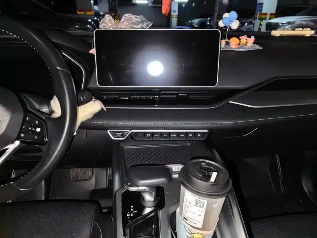 Xingrui 2023 2.0TD Luxury Edition — миниатюра 9