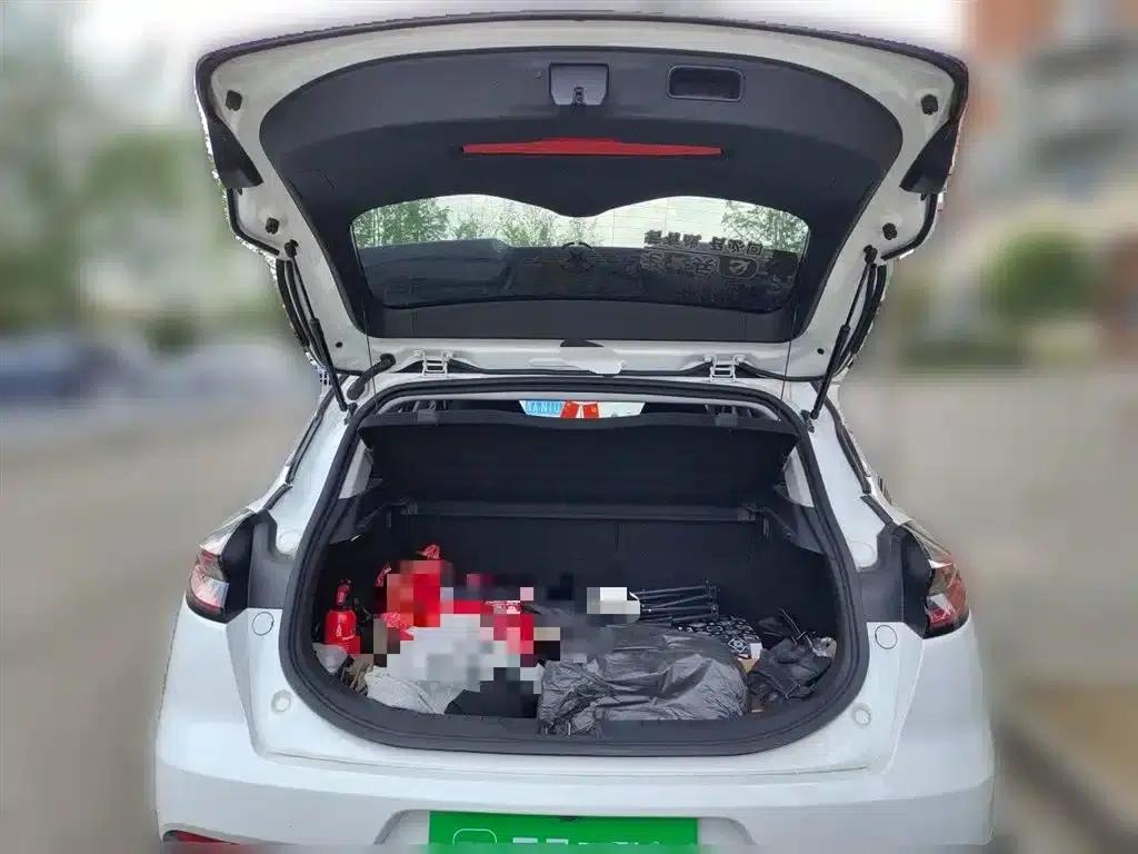 Geely Emgrand S 2021 1.4T CVT Premium Edition — миниатюра 10