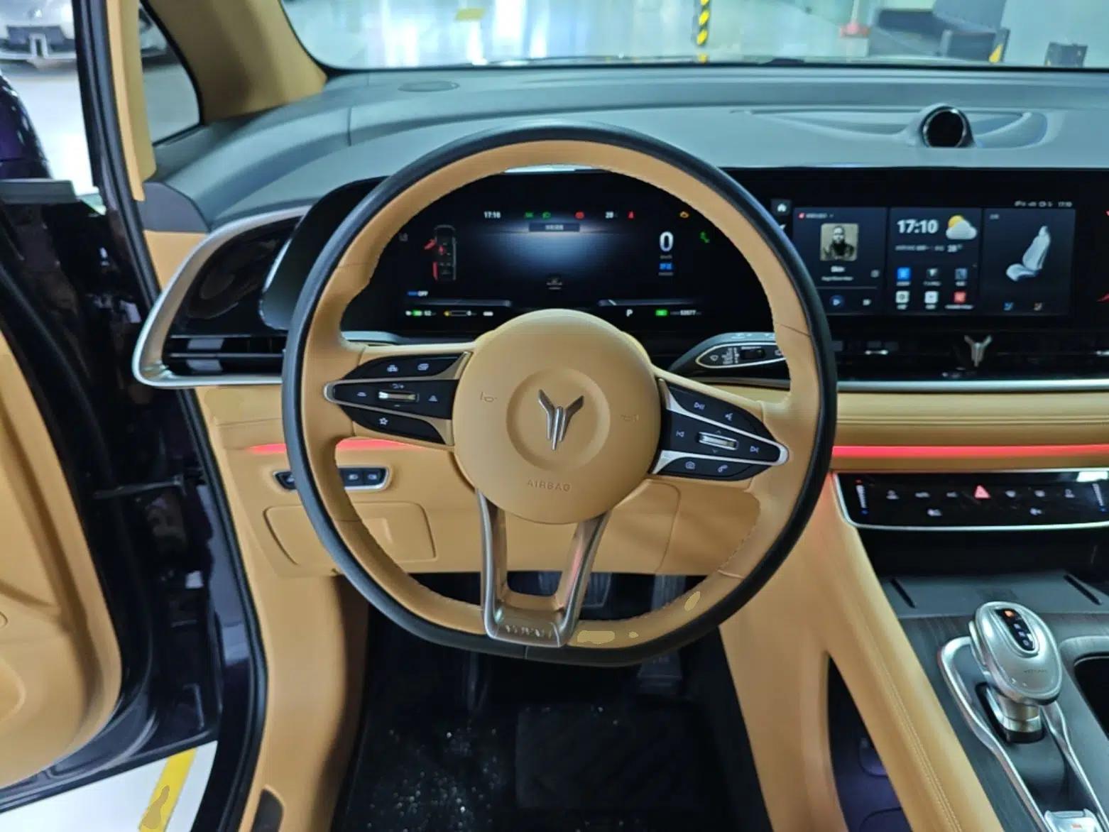 VOYAH Dream 2022 Low-Carbon Edition Plus Intelligent Driving Package — миниатюра 13