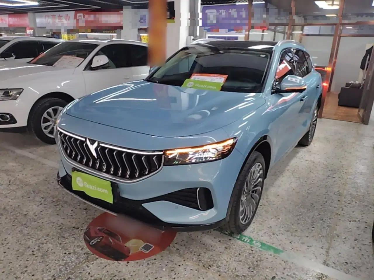 VOYAH FREE 2021 Four-Wheel Drive Extended-Range First Edition Commemorative Edition Exclusive Luxury Package — миниатюра 1