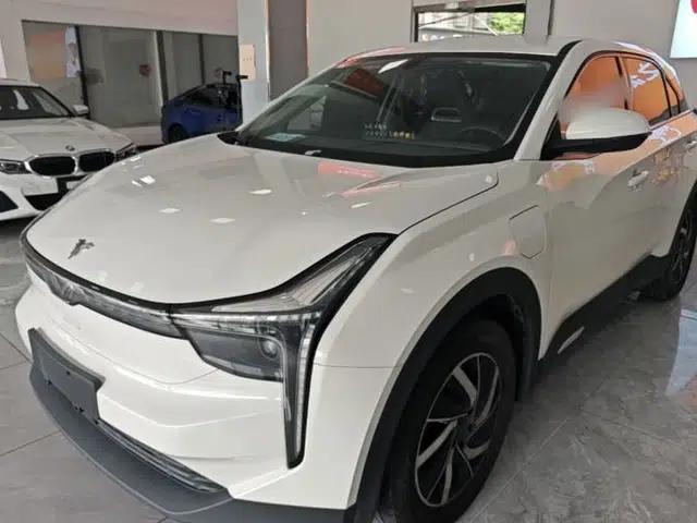 NETA U 2021 Pro 400 Premium Driving Edition