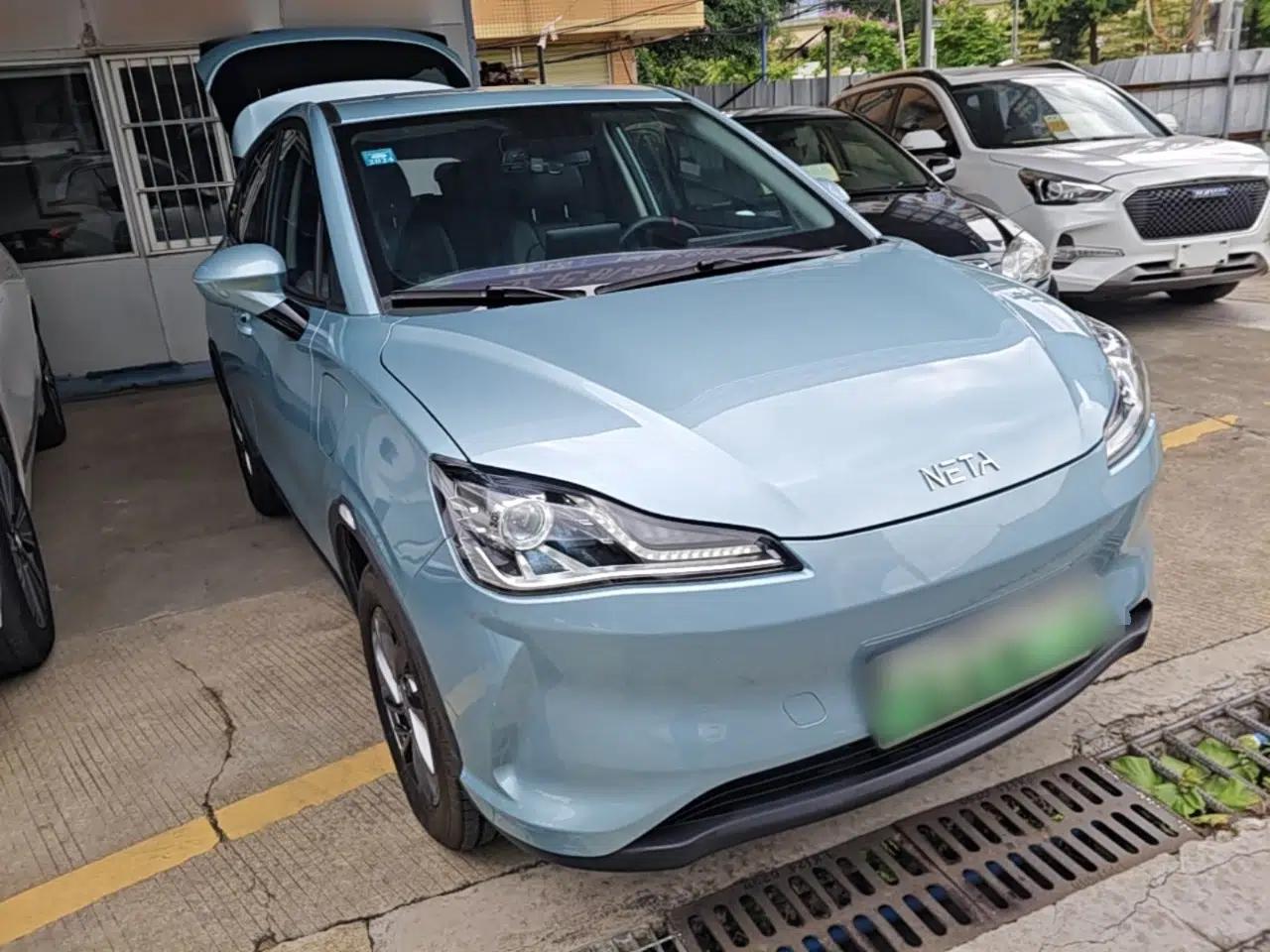 NETA V 2022 Standard Range Industry Custom Edition — миниатюра 6