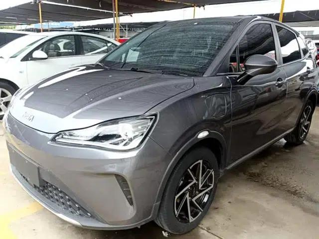 NETA AYA 2023 401 Lite