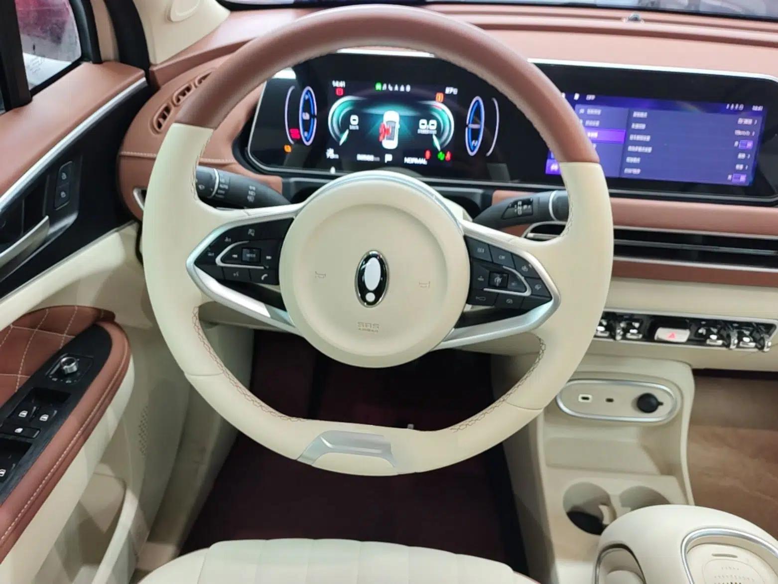 ORA Good Cat 2023 401 km Standard Range Luxury Version Lithium Iron Phosphate — миниатюра 14