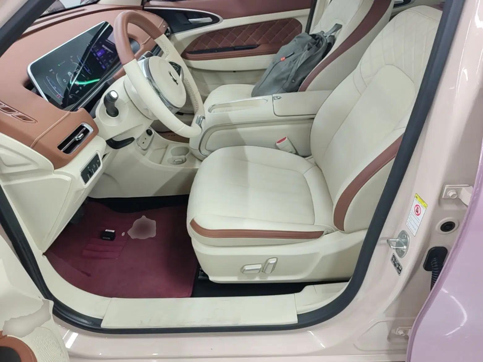 ORA Good Cat 2023 401 km Standard Range Luxury Version Lithium Iron Phosphate — миниатюра 18