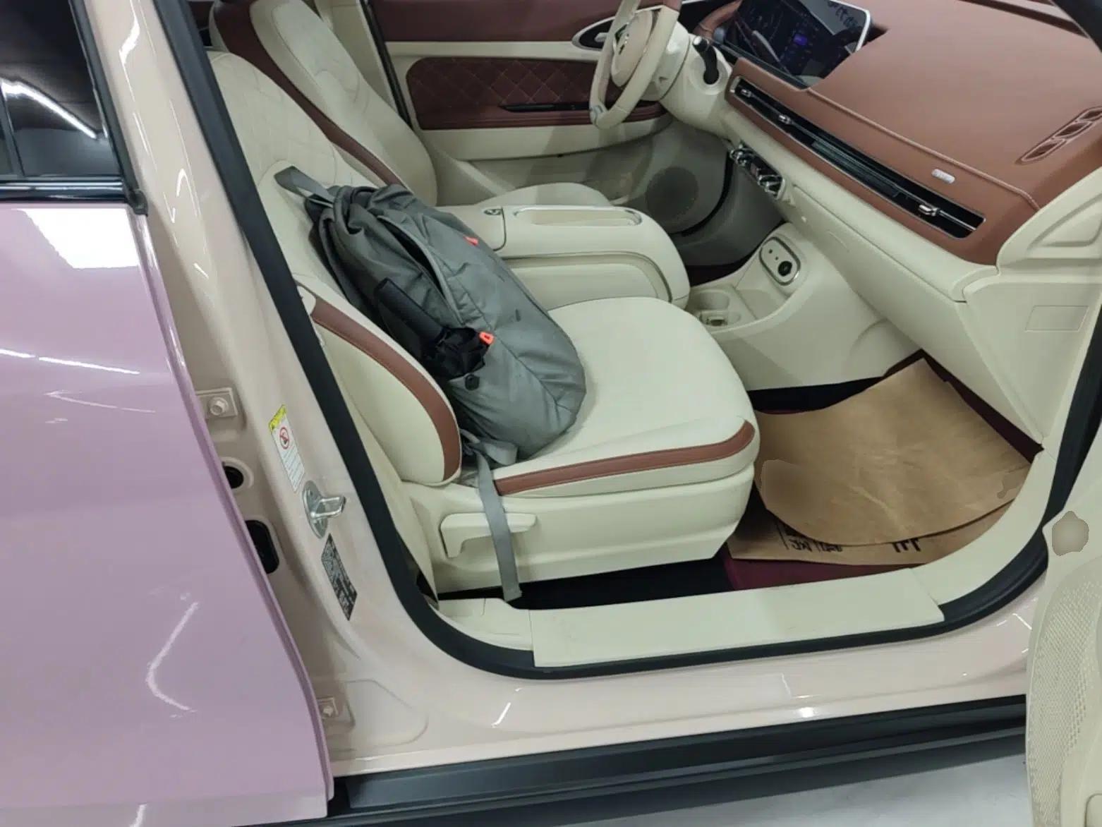 ORA Good Cat 2023 401 km Standard Range Luxury Version Lithium Iron Phosphate — миниатюра 23