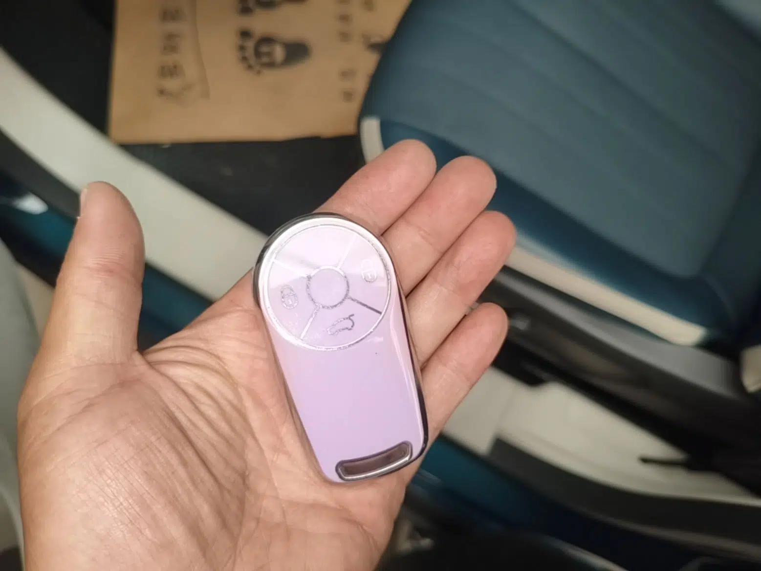 ORA Good Cat 2021 400km Standard Range Athena Edition Lithium-Ion Battery — миниатюра 12
