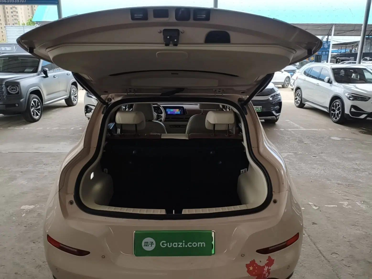 ORA Good Cat 2022 Morandi Edition 400km Standard Range Premium Version Lithium-Ion Battery — миниатюра 22