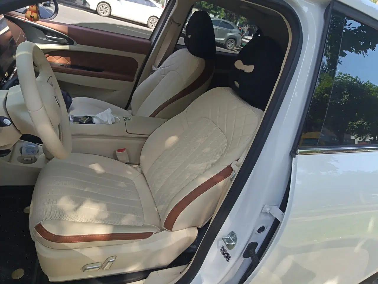 ORA Good Cat 2025 Model, 430 km Luxury Version — миниатюра 19