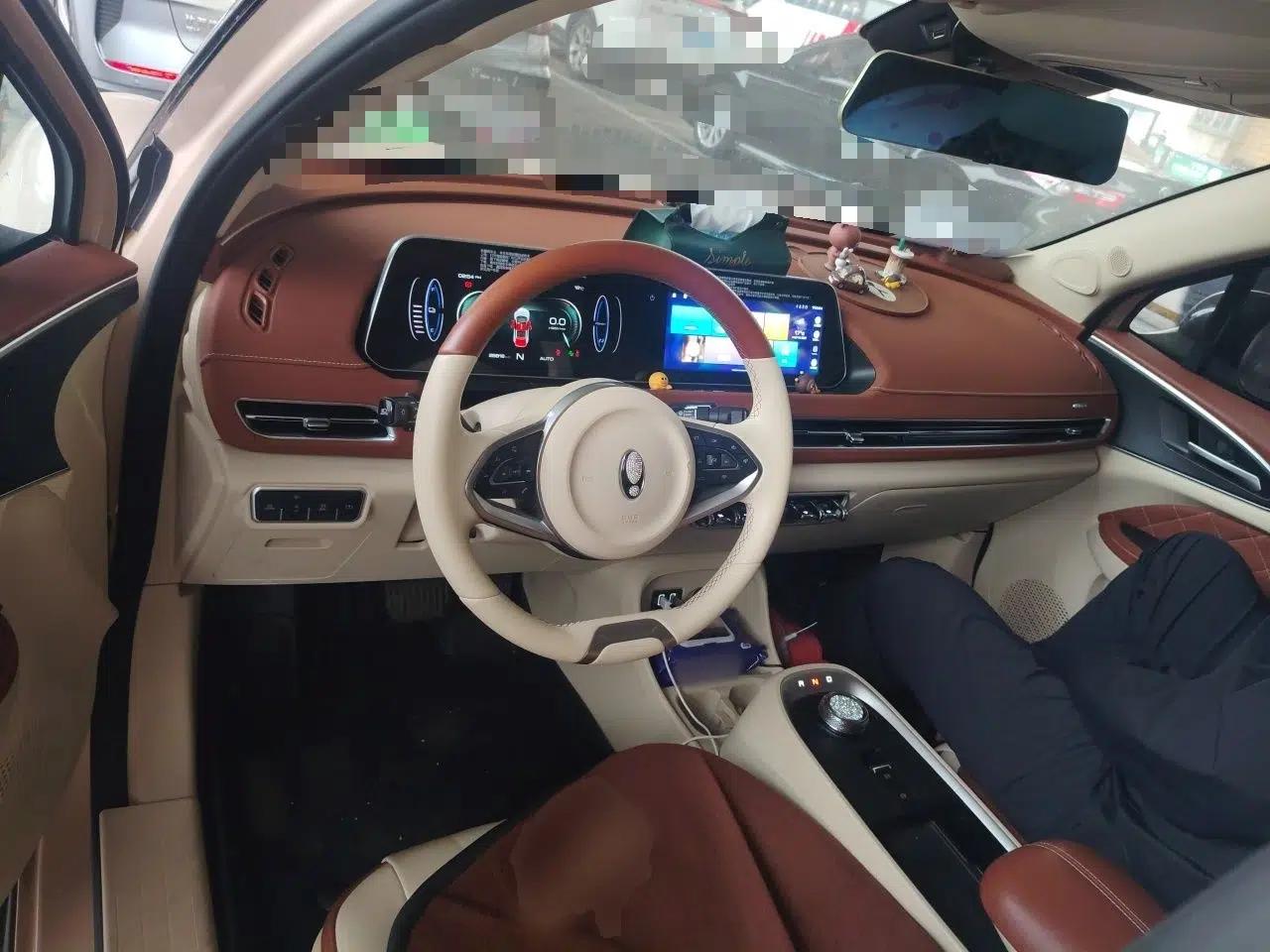 ORA Good Cat 2021 400km Standard Range Venus Edition Lithium-Ion Battery — миниатюра 11