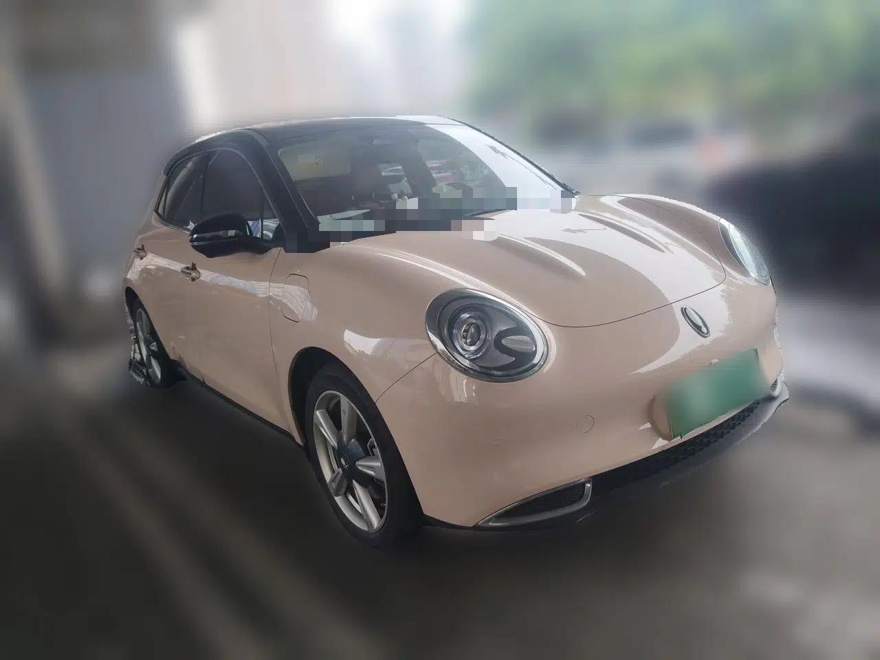 ORA Good Cat 2021 400km Standard Range Venus Edition Lithium-Ion Battery — миниатюра 3