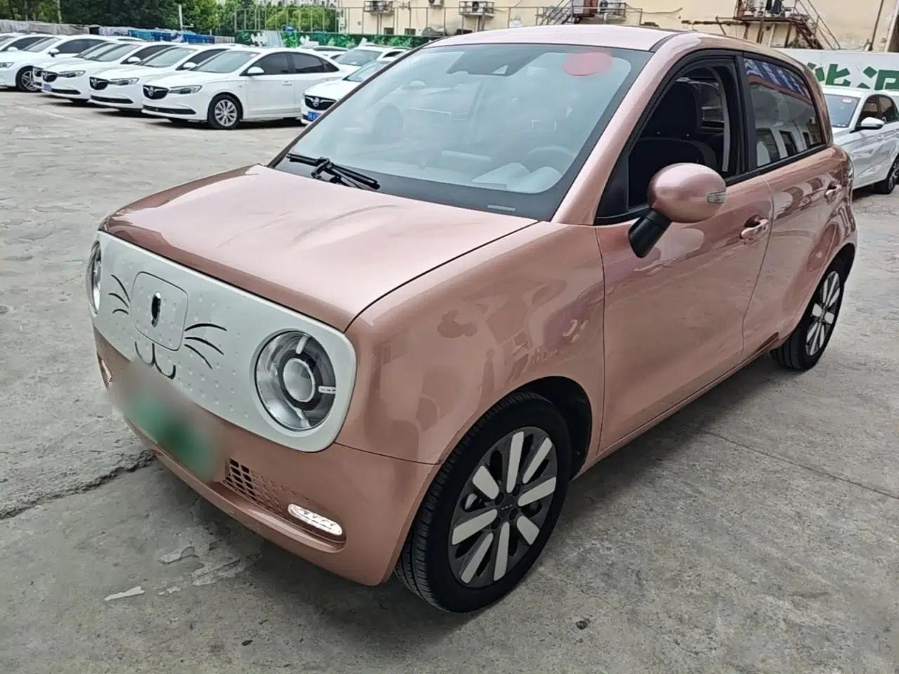 ORA Black Cat 2021 351 km Standard Version — миниатюра 1