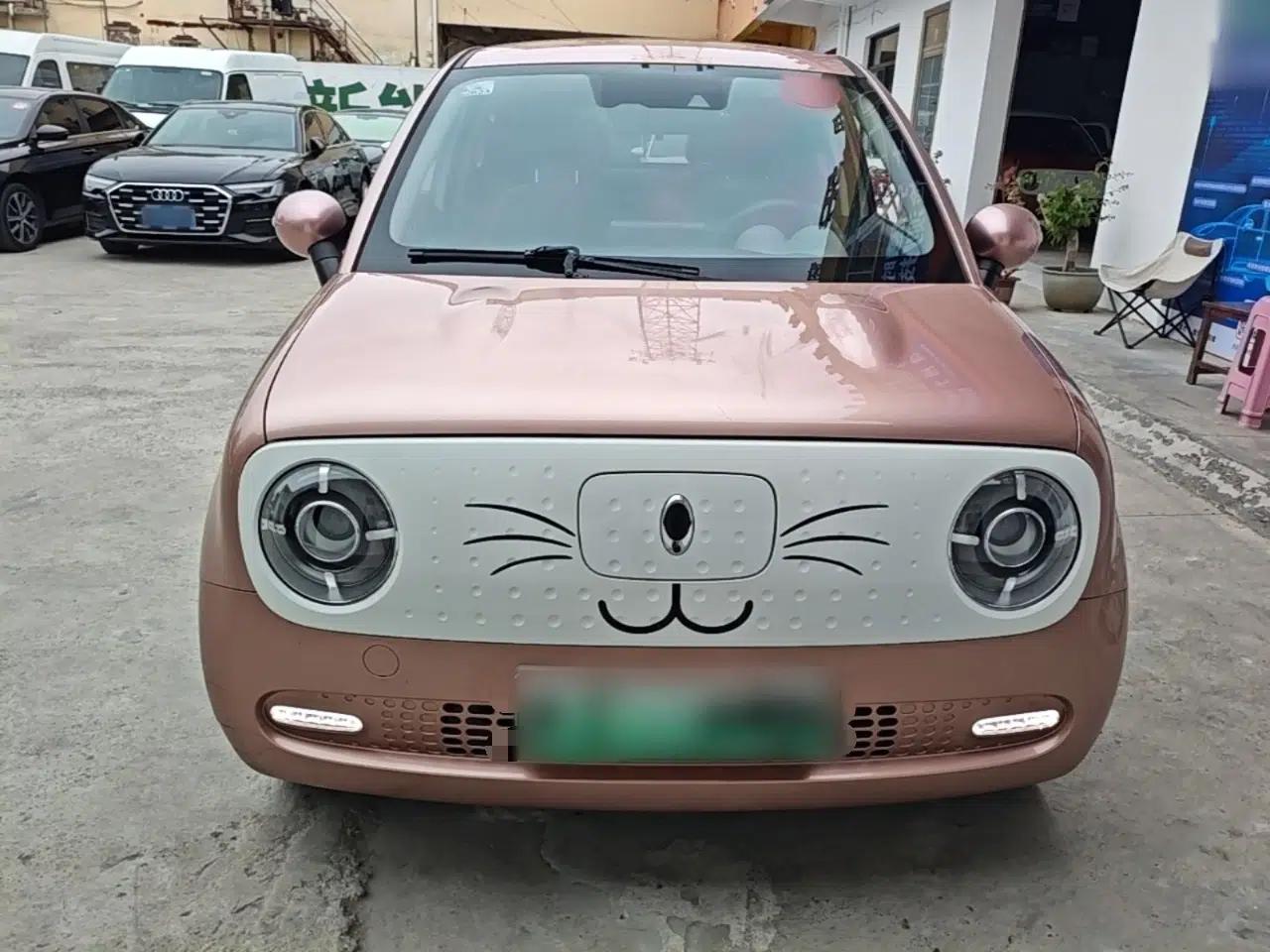 ORA Black Cat 2021 351 km Standard Version — миниатюра 2