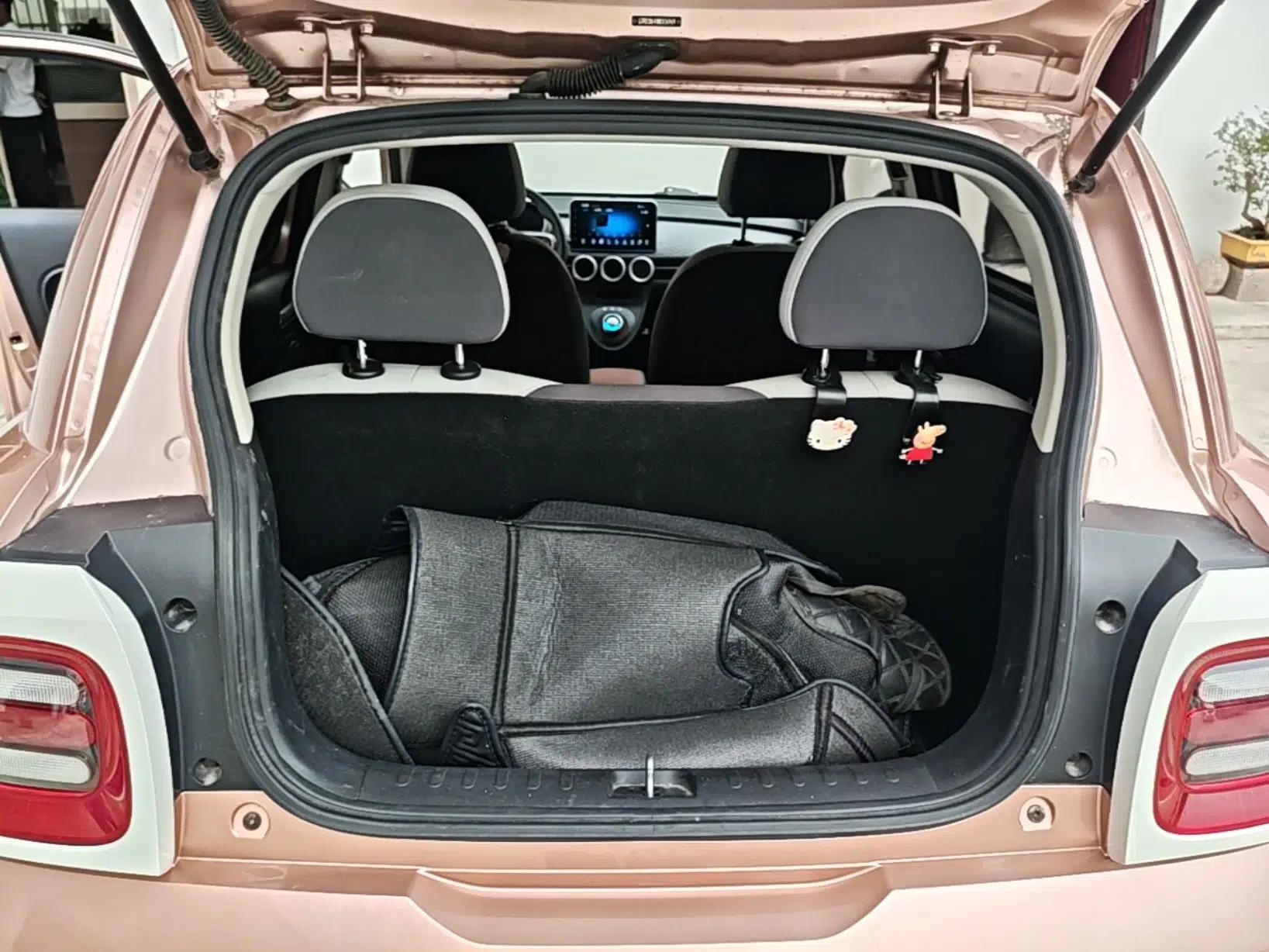 ORA Black Cat 2021 351 km Standard Version — миниатюра 21